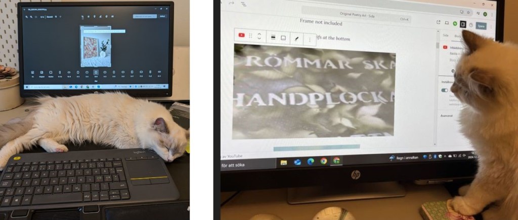 2025-01 This year’s&nbsp;focus